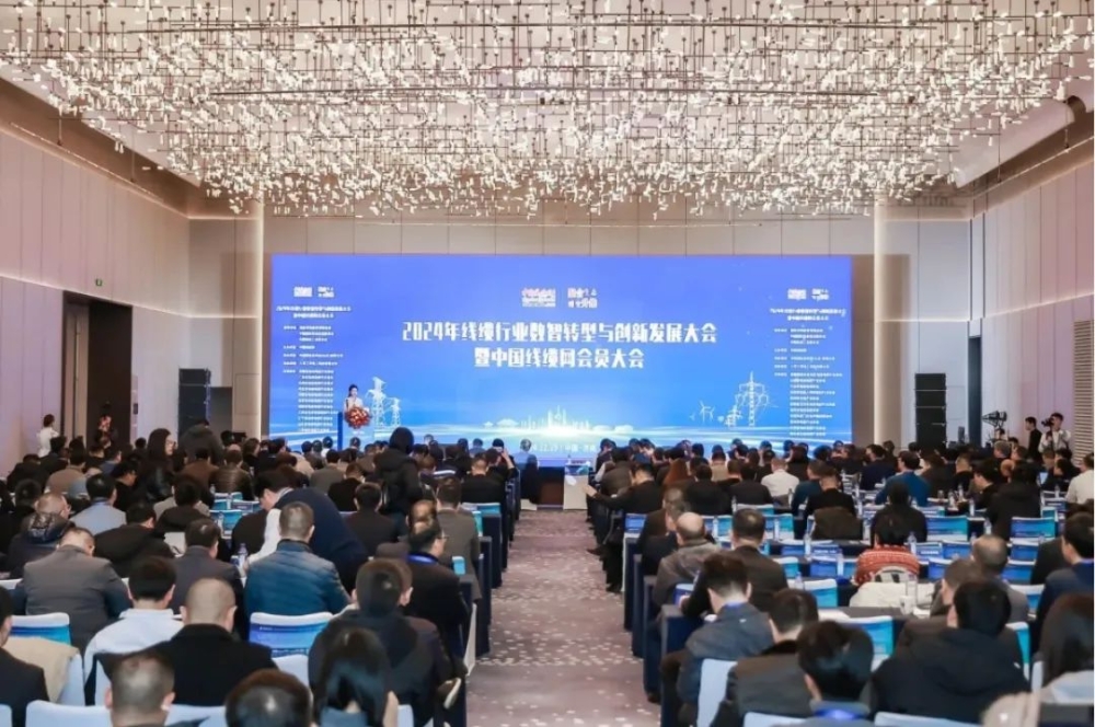 太阳集团tyc4633股份荣获“2024年度中国线缆行业领军品牌企业”