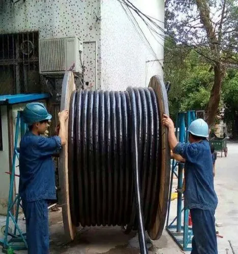 微信图片_20230606091758