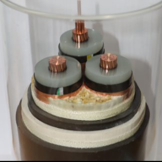 微信图片_202312230923581 微信图片_202312230923581