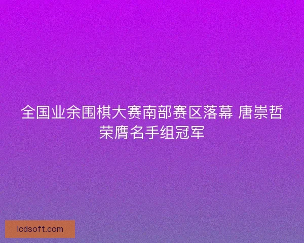 全国业余围棋大赛南部赛区落幕 唐崇哲荣膺名手组冠军